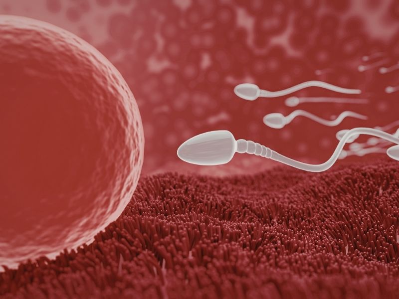 sperm-sayisi-kac-olmali