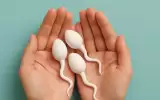 Oligospermi (Sperm Azlığı) Nedir?