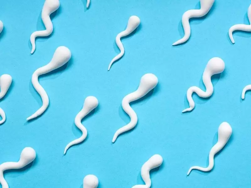 prematur-ejakulasyon