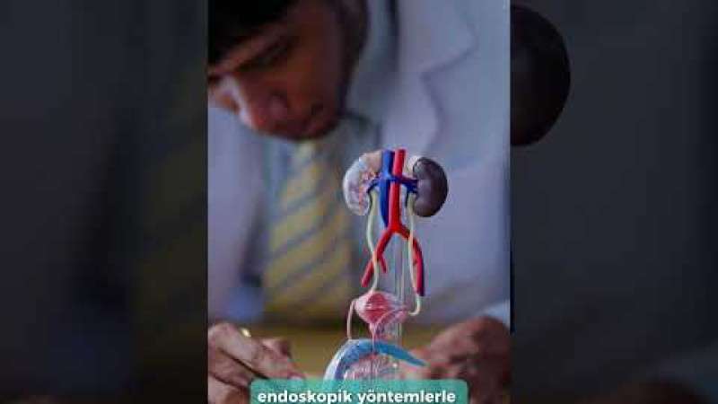 video,paylaşım,kameralı telefon,videofon,ücretsiz,yükleme