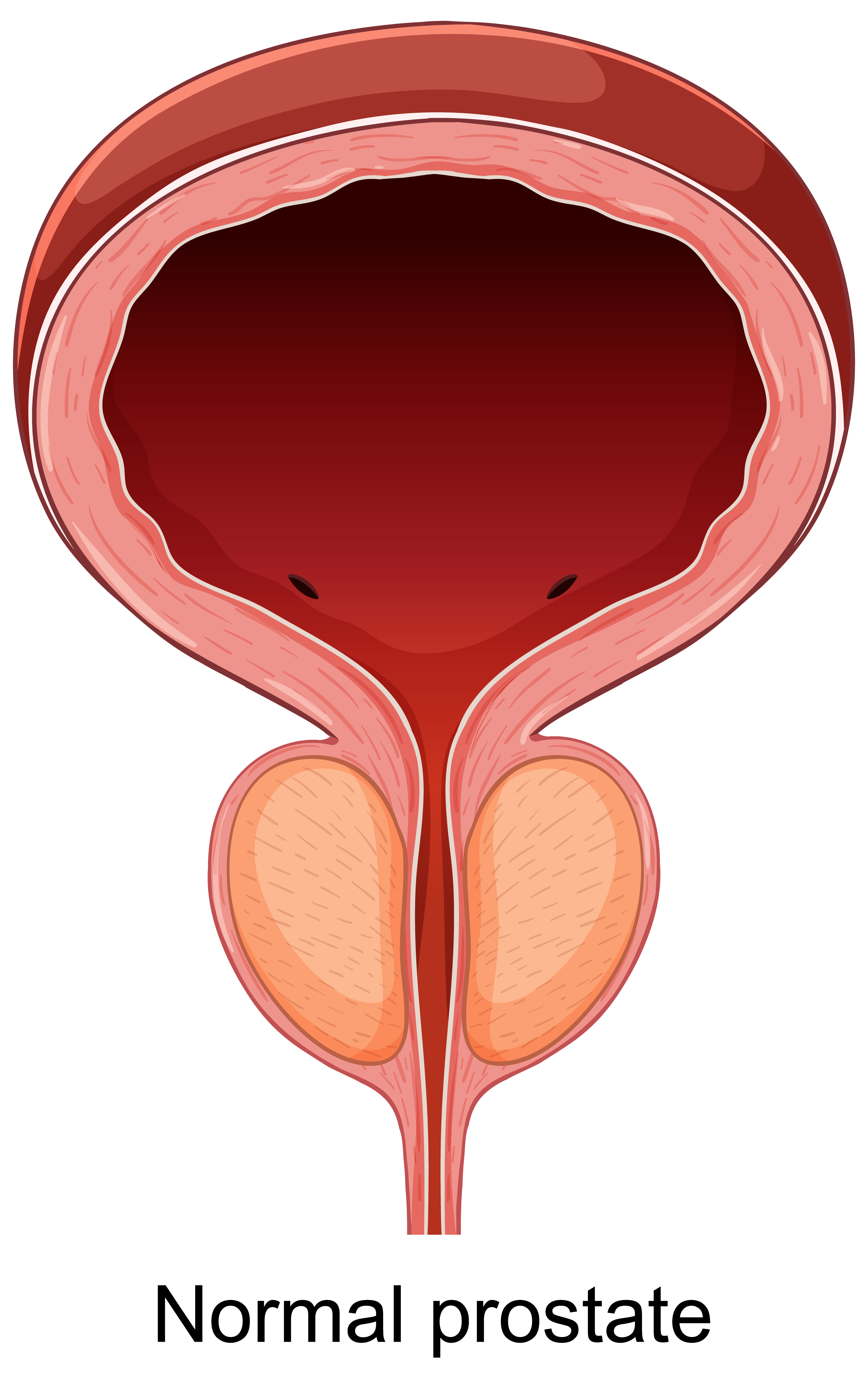 34ebedf1-471b-460b-84e4-08e850d396a5