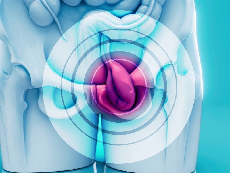 iskelet-sistemi-ve-yayilma-belirtileri