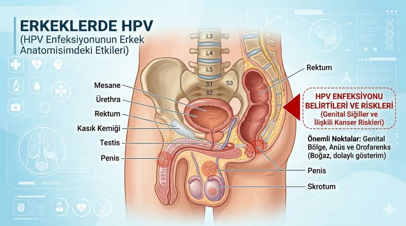 erkeklerde-hpv-belirtisi