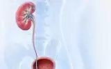 Double J (DJ) Stent Nedir? Ameliyat Sonrası Rehber